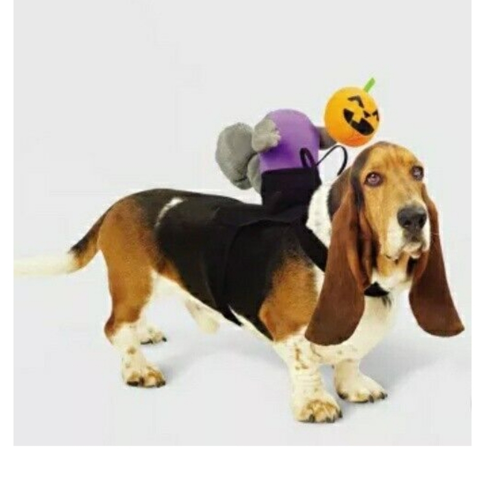 Headless horseman costume